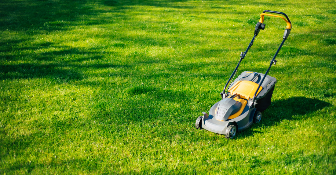Gazononderhoud: Hoe Houd je je Gras Groener en Gezonder