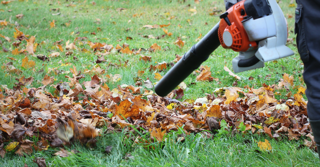 Efficiënt Bladblazen: Tips en Tricks voor een Bladvrije Tuin